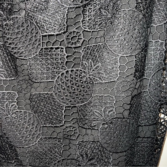 Sam Edelman Strapless Black Lace Pineapple Dress - Picture 5 of 9